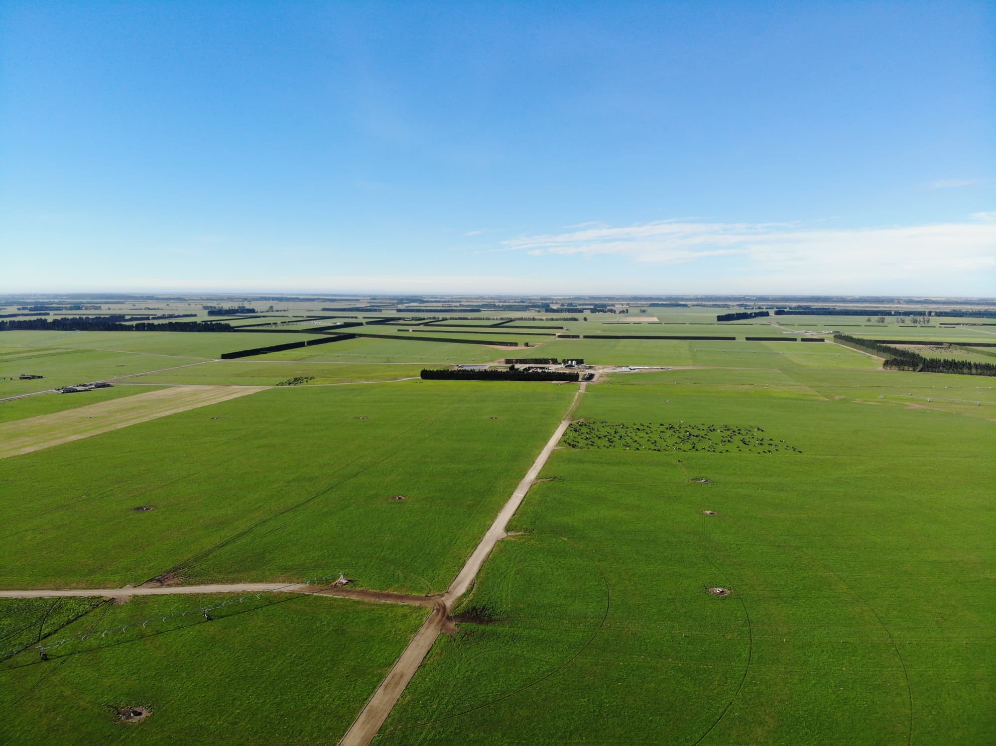 Waikato farm landscape