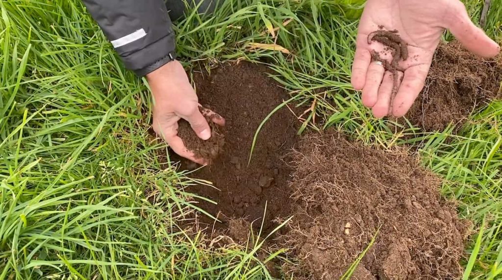 Soil and worms on a Southern Pastures farm