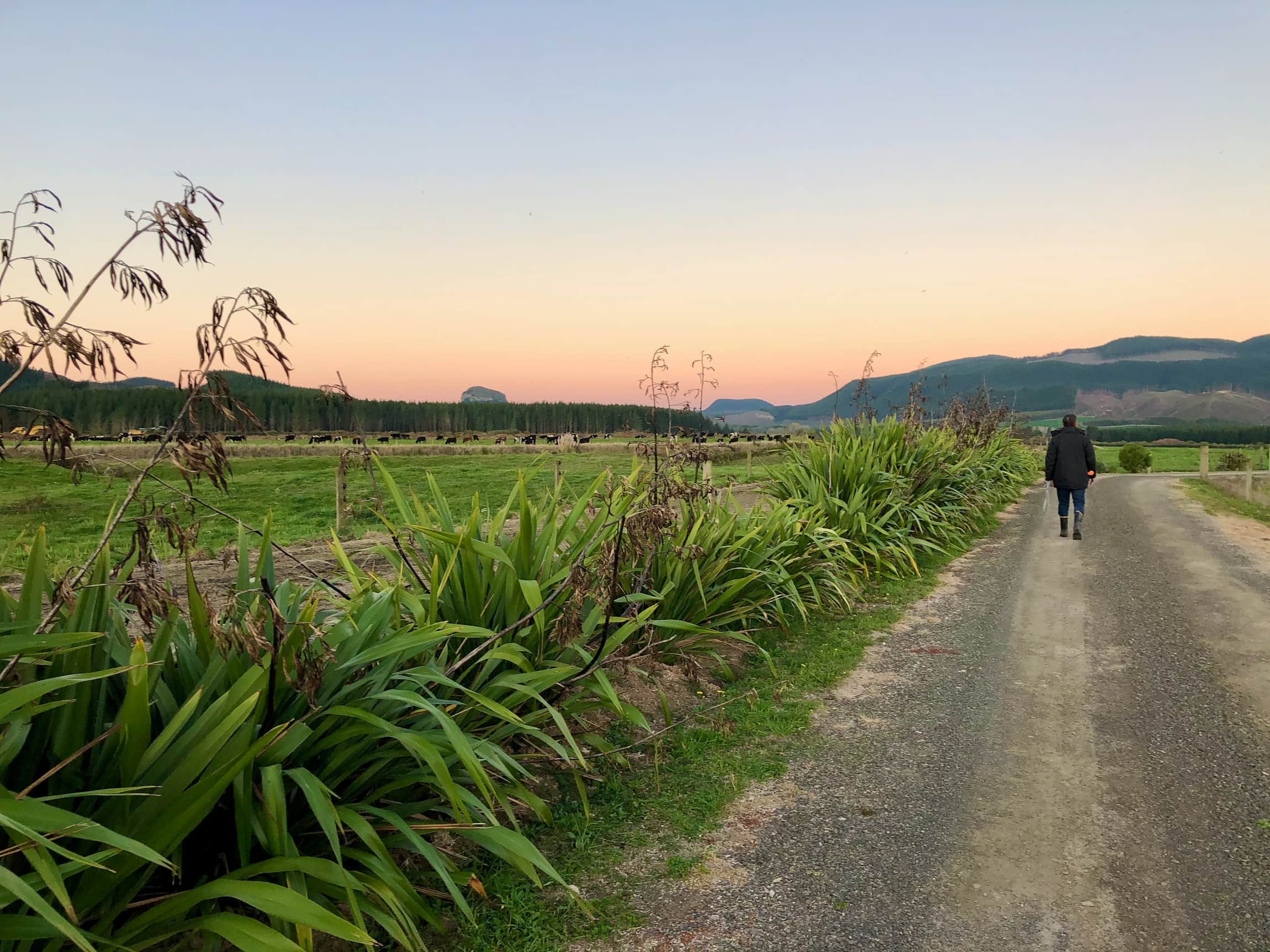 Why food producers must stay focused on climate change, Southern Pastures