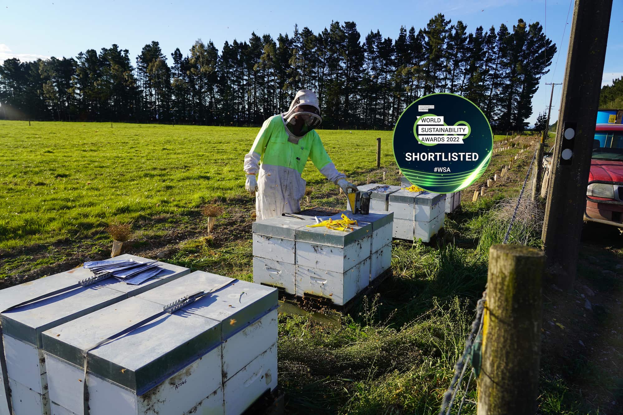 Southern Pastures shortlisted at World Sustainability Awards 2022, Southern Pastures